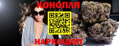 сатива Кингисепп