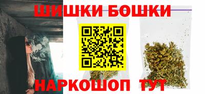 сатива Кингисепп