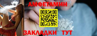 сатива Кингисепп