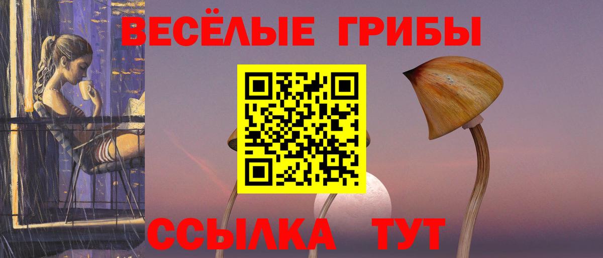 Псилоцибиновые грибы мицелий  Вход с VPN  Костомукша 